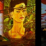Viva Frida Kahlo